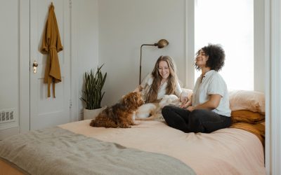Efficient Mold Detection and Remediation: Protecting Your Home and Health