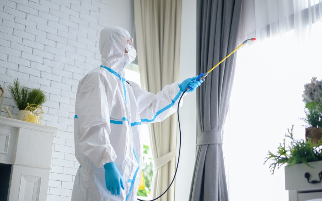 Expert Insights on Biohazard Cleanup: Safeguarding Your Home and Your Health