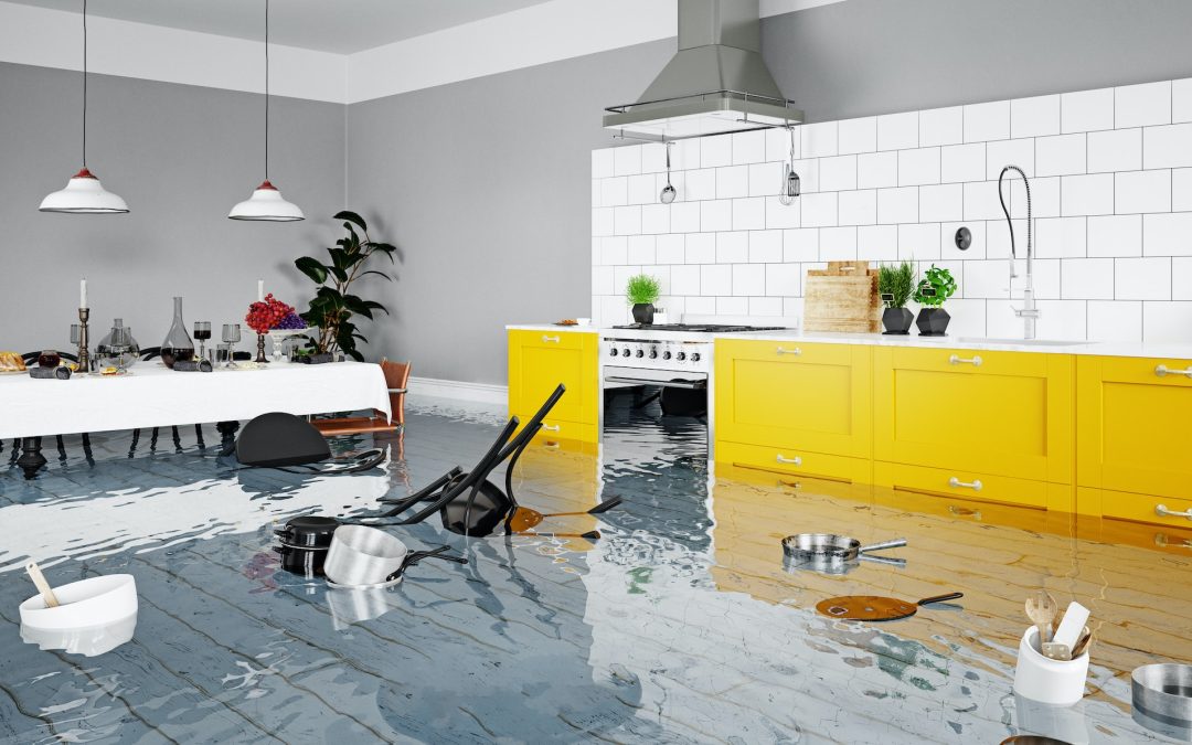 Weathering the Storm: Emergency Flood Cleanup and Restoration Tips